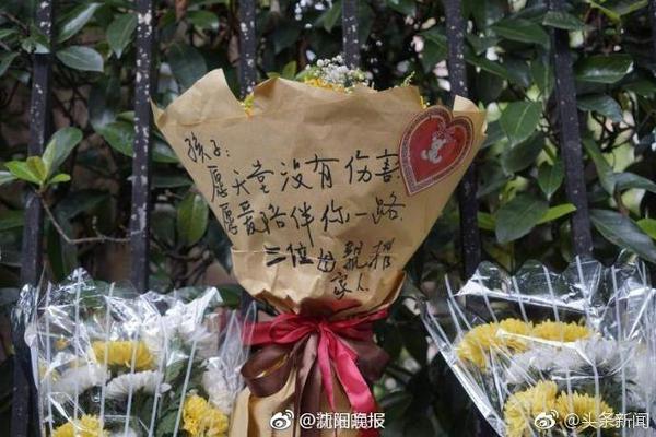 羊毛衣服怎么洗涤和保养方法